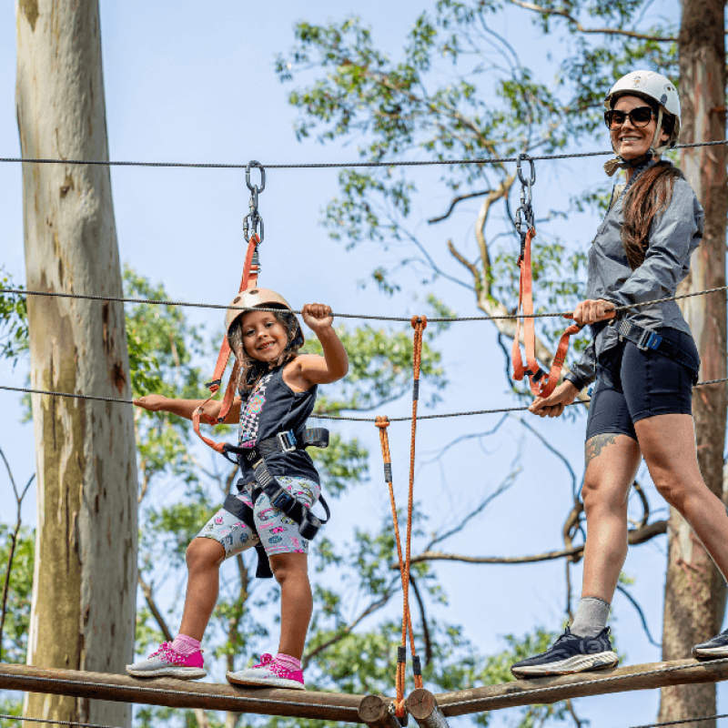12-arvorismo-parque-do-cristo